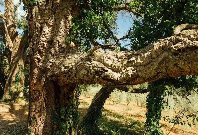 Hotelli La Cerreta   Terme Di Sassetta
