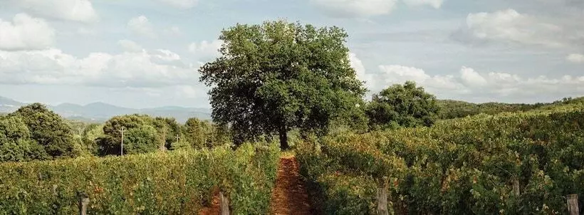 Hotelli La Cerreta   Terme Di Sassetta
