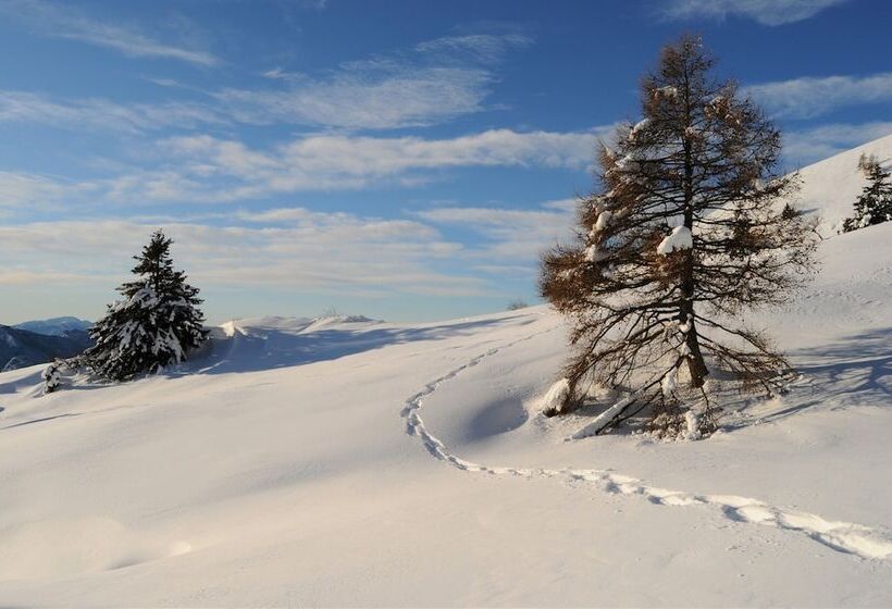 酒店 Albergo Palazzo Lodron Bertelli