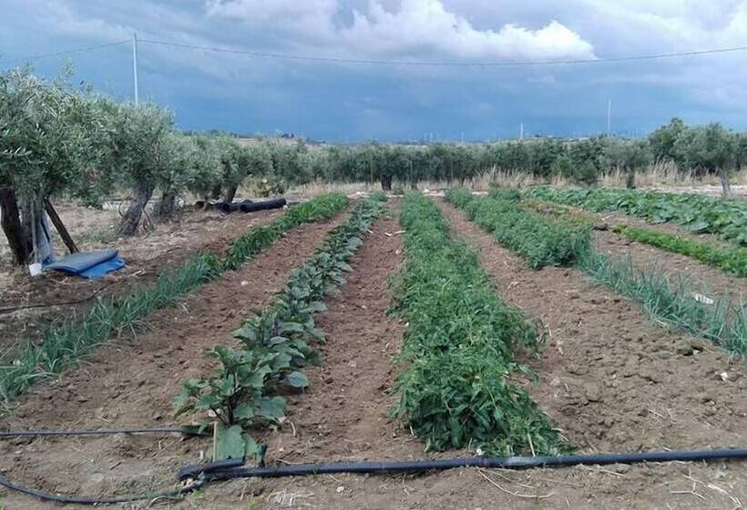 בית מלון כפרי Villa Giadel