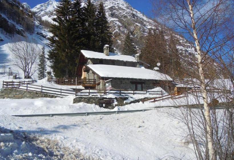 膳宿费 Arthemisia