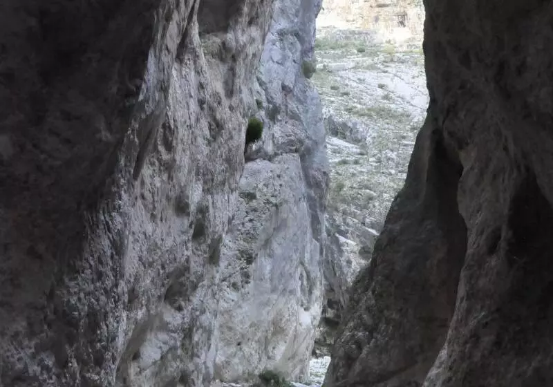 Majatalo Da Oreste Affittacamere