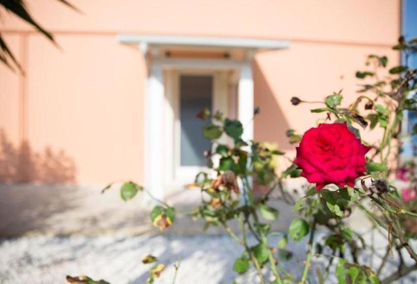 פנסיון Dolce Dormire Civitanova