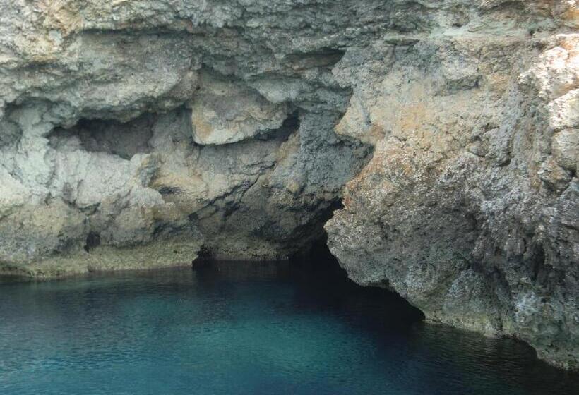 Пансион Silvia Affittacamere