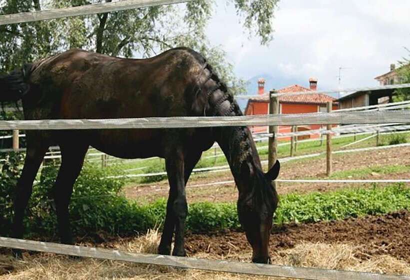 בית מלון כפרי Agriturismo Casa De Bertoldi
