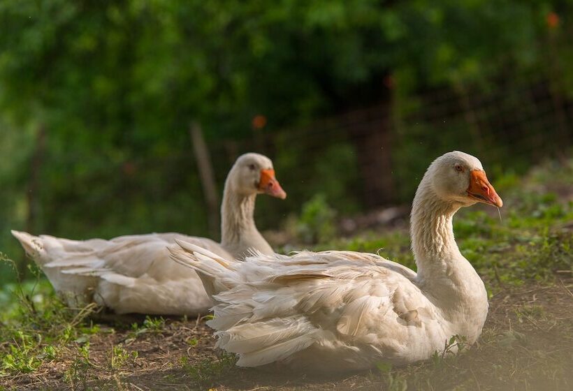בית מלון כפרי Agriturismo Casa De Bertoldi