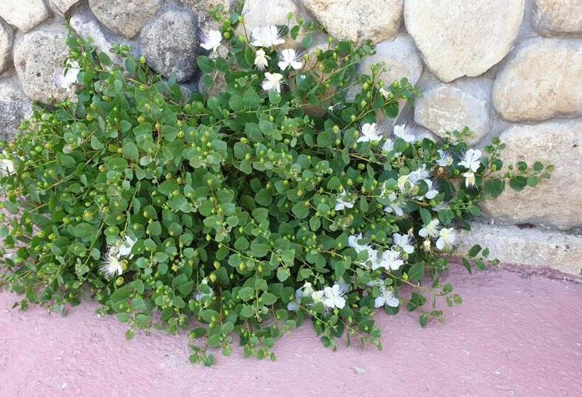 فندق Agriturismo Duca Di San Martino