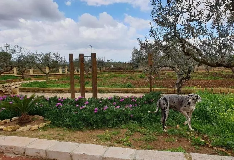 هتل Agriturismo Duca Di San Martino