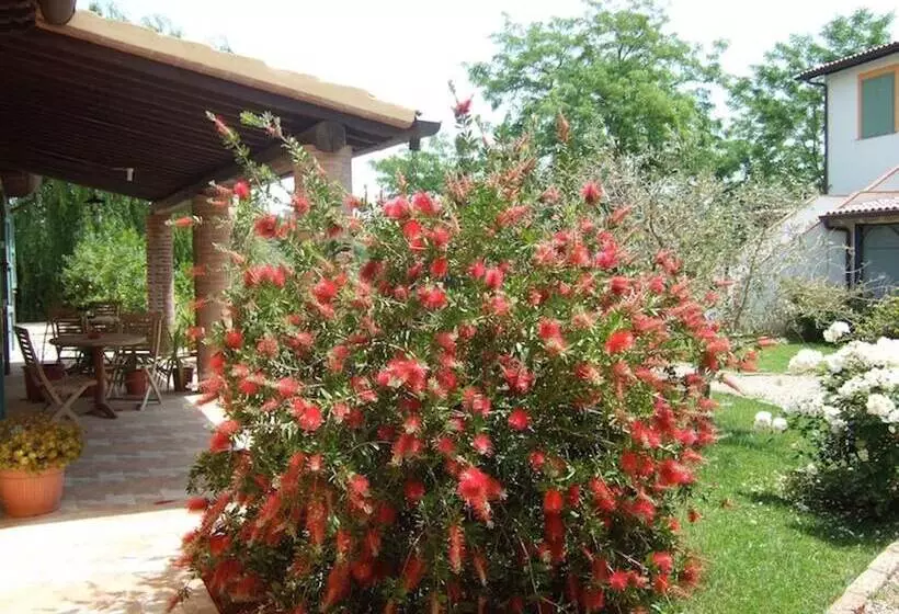 ホテル Agriturismo Quartopodere