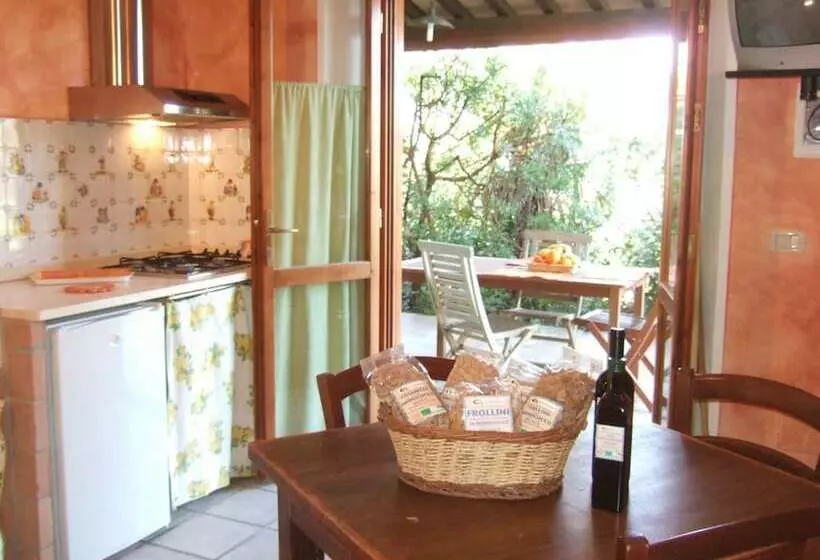 ホテル Agriturismo Quartopodere