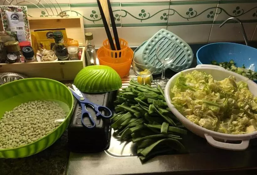 ホテル Podere Terreno Alla Via Della Volpaia