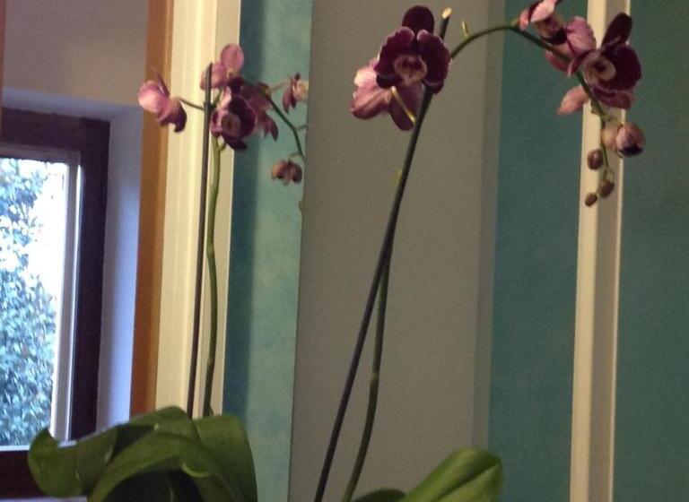 酒店 Agriturismo La Morosina