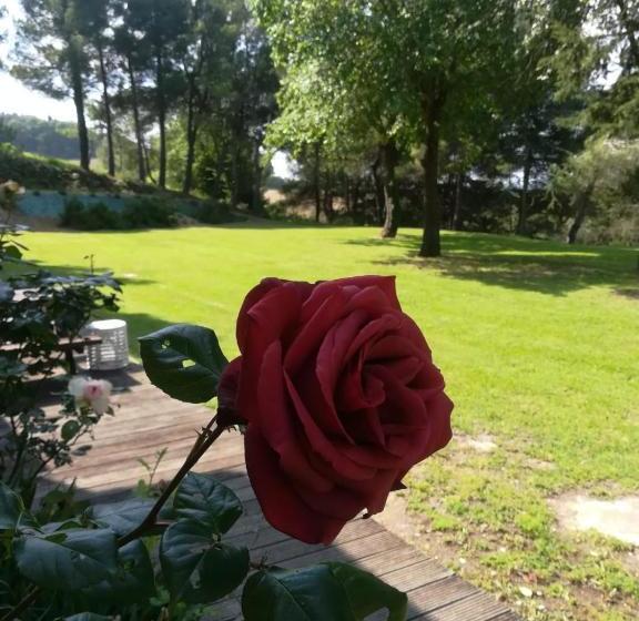 Pensjonat Camere L'eremo