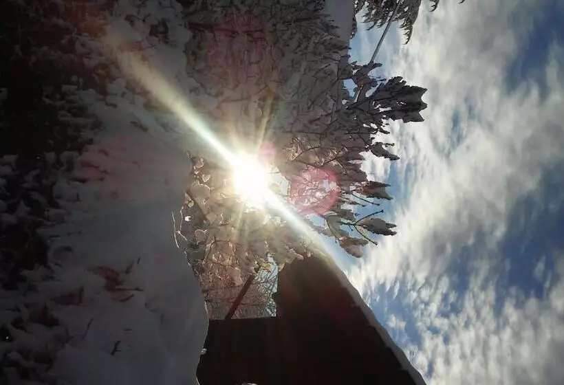 Majatalo Les Vrais Rayons