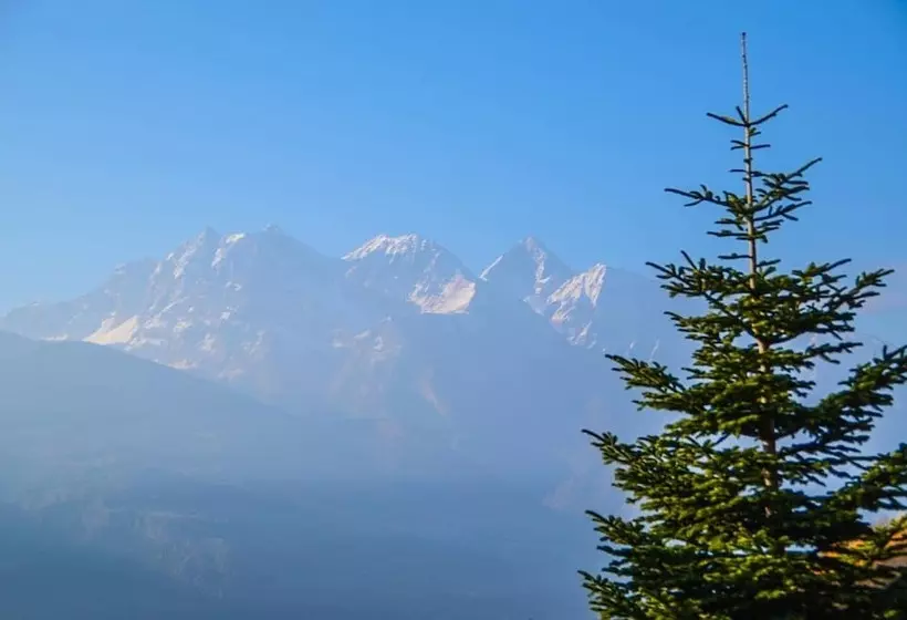 Majatalo Les Vrais Rayons