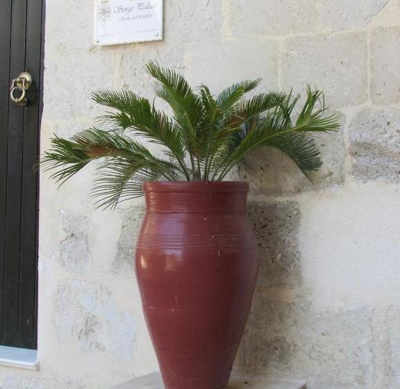 פנסיון Sorge Palace