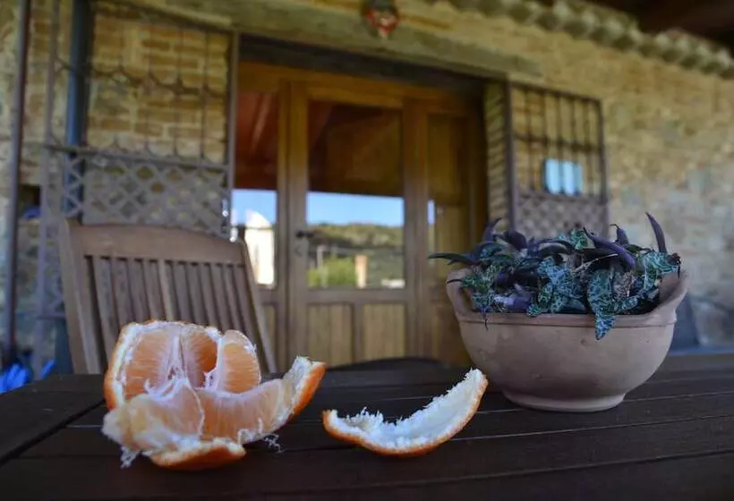 Hotelli Agriturismo Le Terre Di Zoe