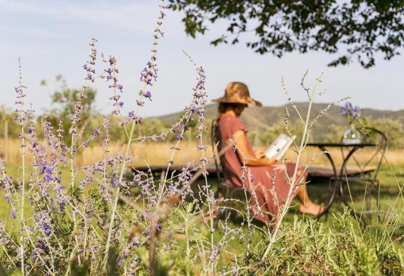 בית מלון כפרי Agriturismo La Facenda