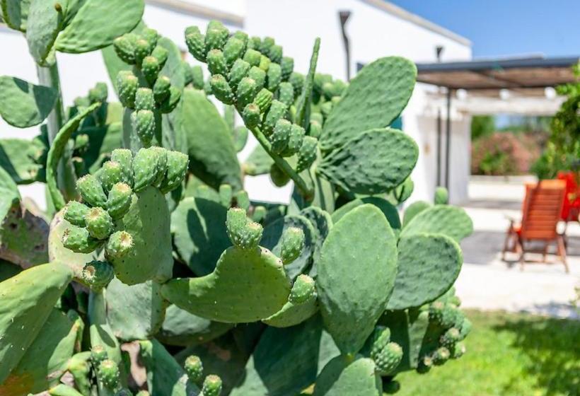 호텔 Agriturismo Le Terre