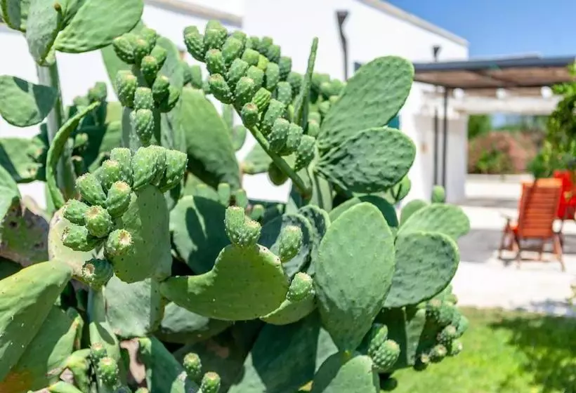 Hotelli Agriturismo Le Terre