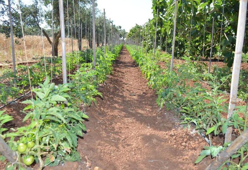 فندق Agriturismo Residenza Gemma