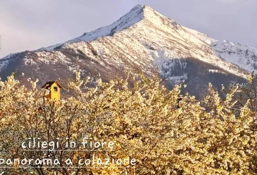 ホテル Cascina La Commenda