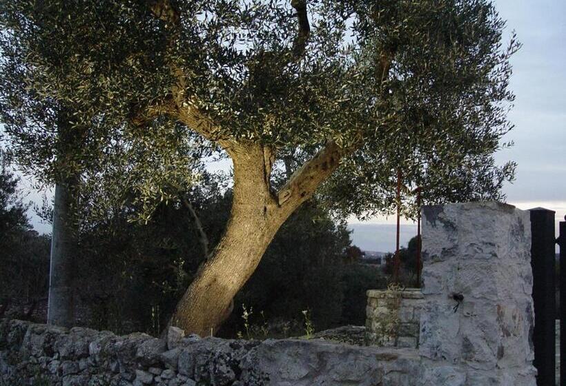 ホテル Trullo Sereno Angelo