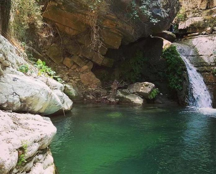 펜션 Affittacamere La Cartiera