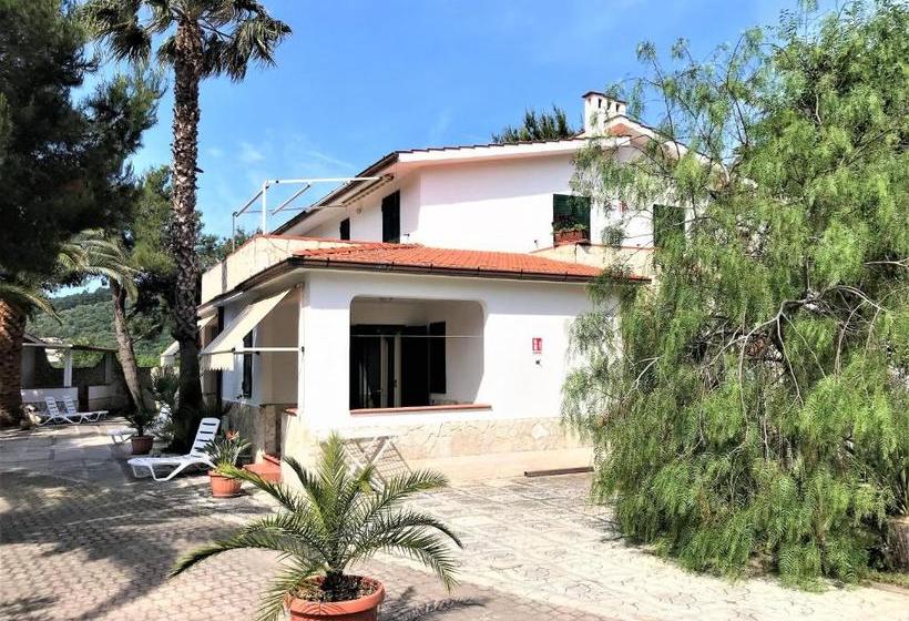 Residence Palm Garden