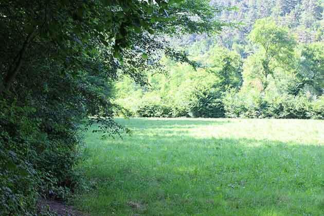 酒店 Agriturismo Biobiò