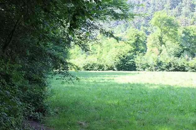 ホテル Agriturismo Biobiò