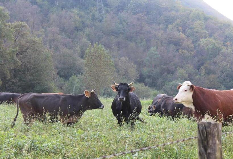 酒店 Agriturismo Biobiò