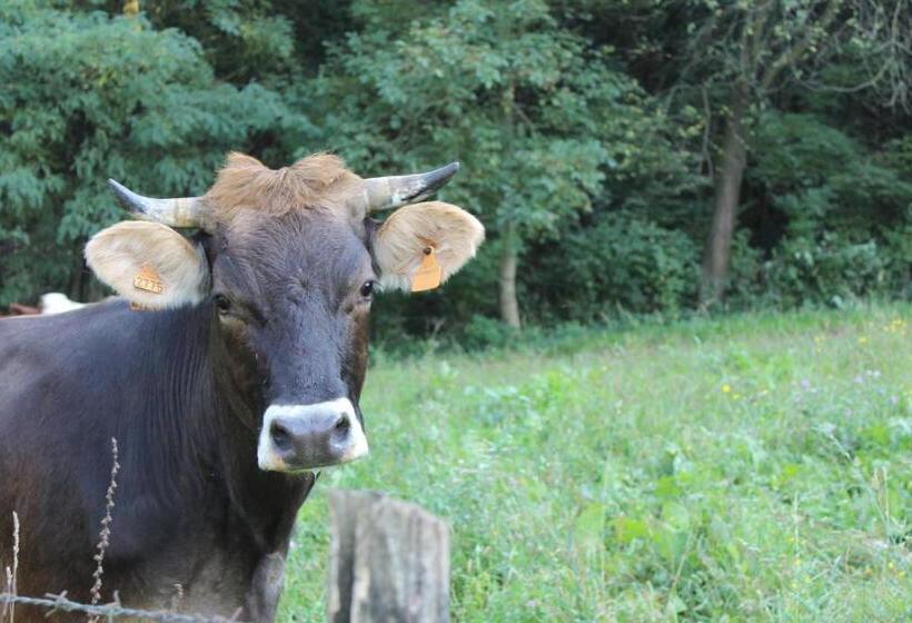 酒店 Agriturismo Biobiò