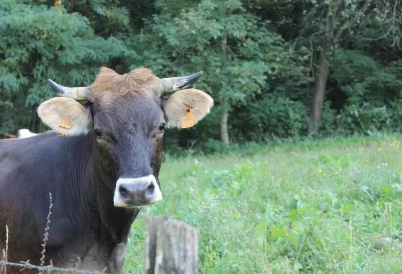 ホテル Agriturismo Biobiò