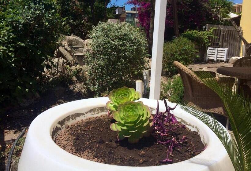 بنسيون My Room Roma