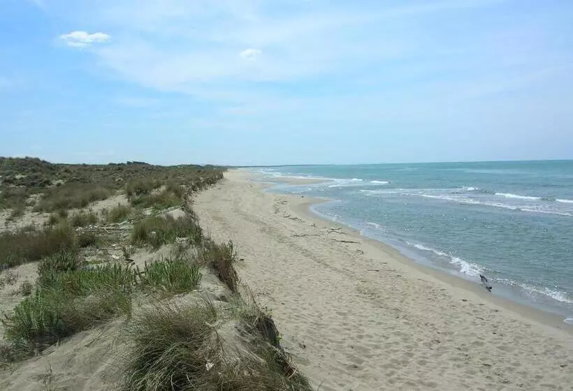 Majatalo My Room Roma