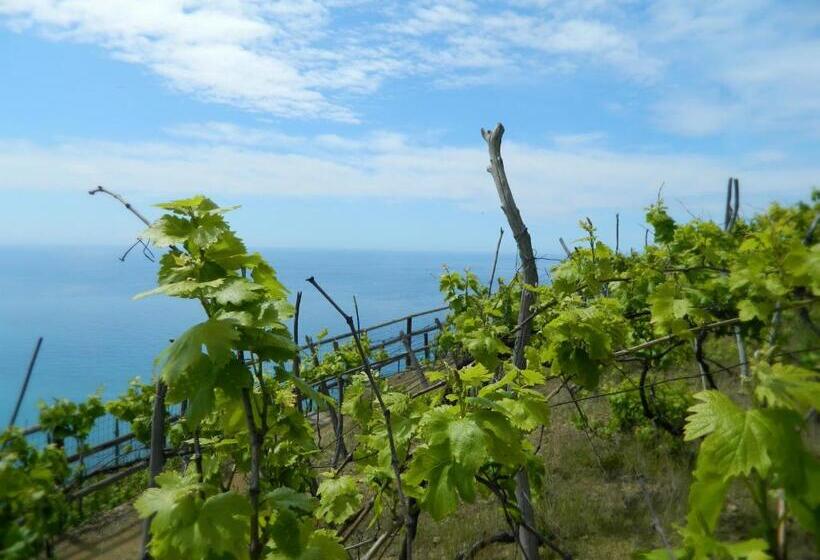 פנסיון Sottocoperta