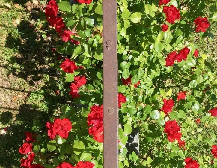 ホテル Agriturismo Ca' Cristane