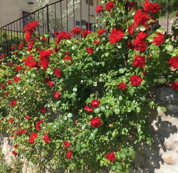 בית מלון כפרי Agriturismo Ca' Cristane