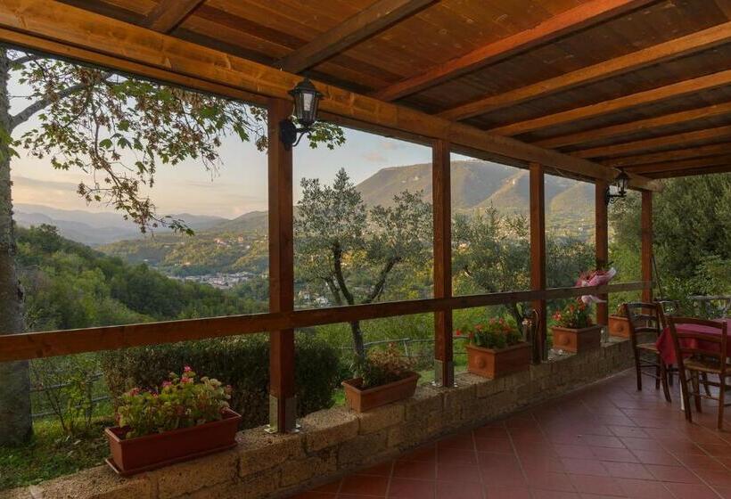 Отель Agriturismo Colle Tocci