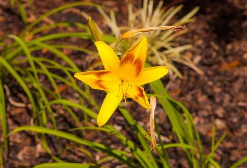 هتل Agriturismo La Chiocciola