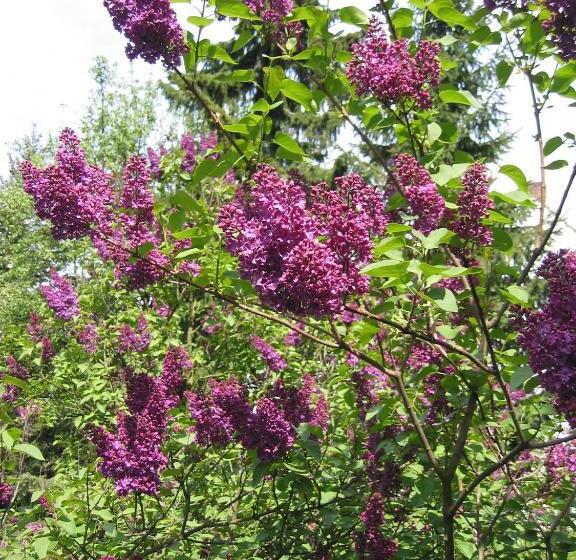 ホテル Agriturismo La Chiocciola