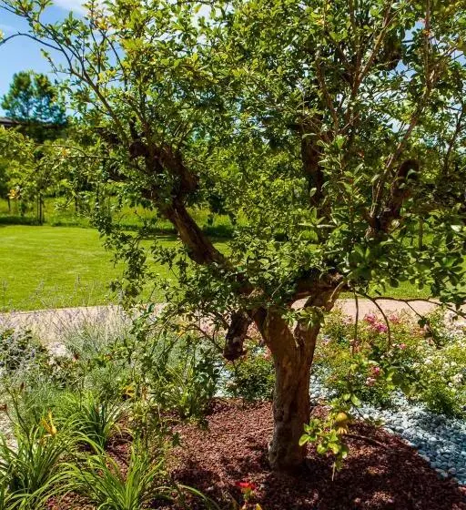 هتل Agriturismo La Chiocciola