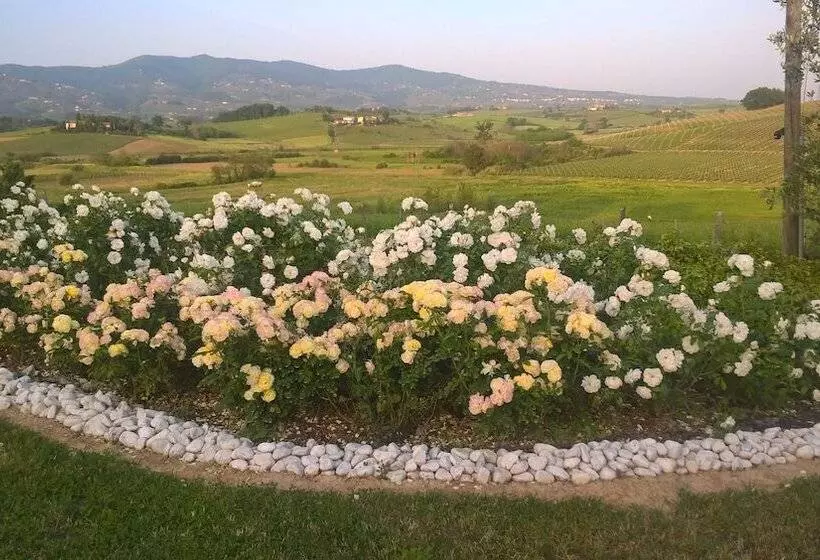 ホテル Agriturismo Spazzavento