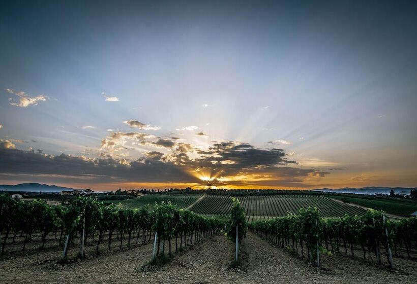 Отель Agriturismo Spazzavento