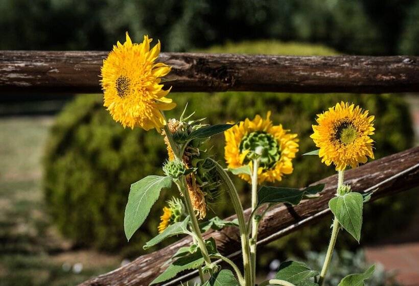 Отель Agriturismo Spazzavento