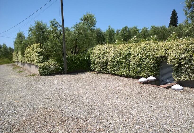 Отель Agriturismo Spazzavento