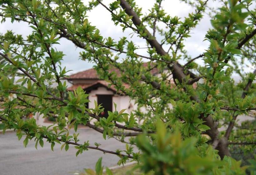 호텔 Agriturismo Torre Cristina