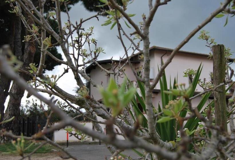 호텔 Agriturismo Torre Cristina