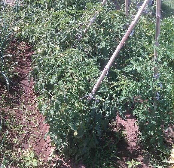 호텔 Agriturismo Torre Cristina